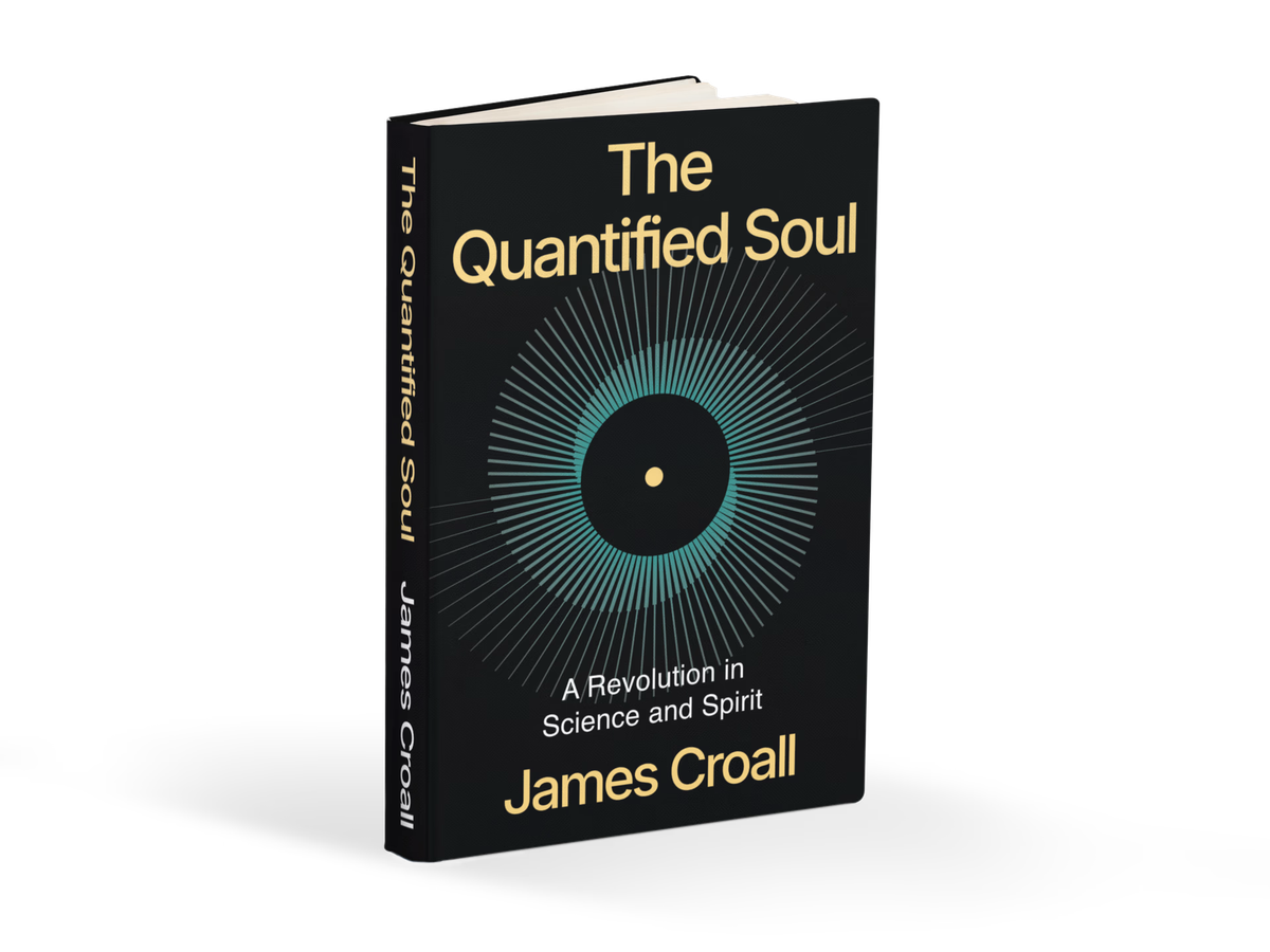 What is The Quantified Soul?