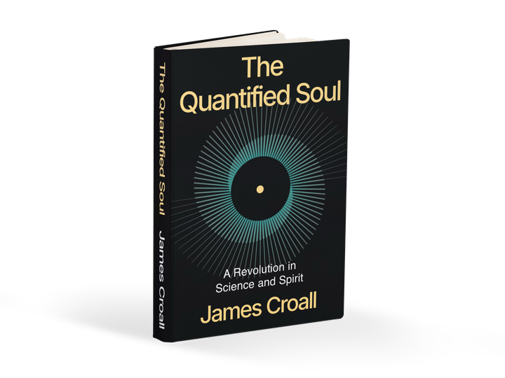 What is The Quantified Soul?